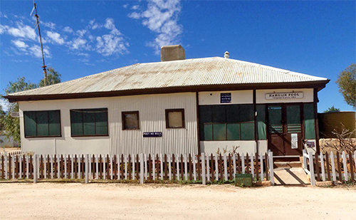 Hamelin Pool