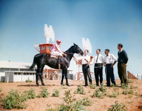Life in Carnarvon