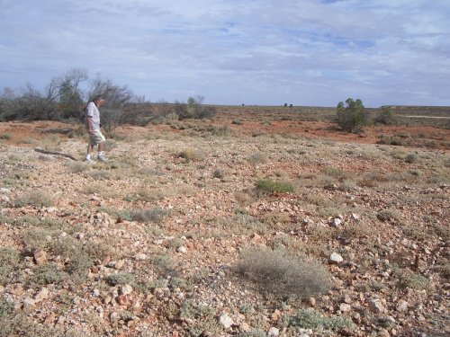 Island Lagoon 2008