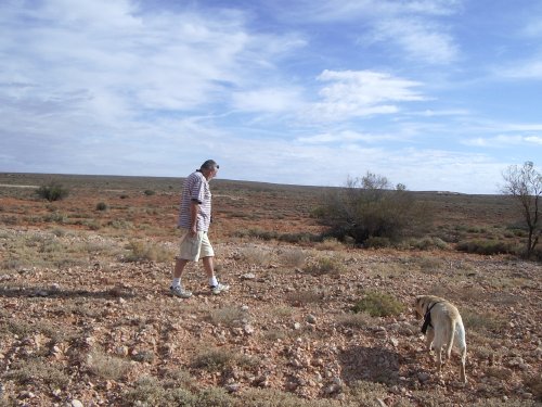 Island Lagoon 2008