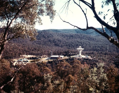 view of the site