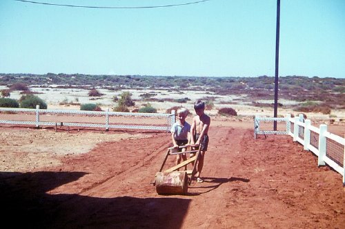 Rolling the driveway